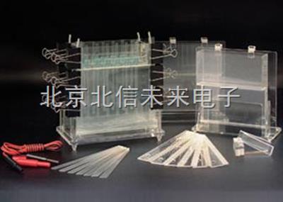 多用途电泳仪