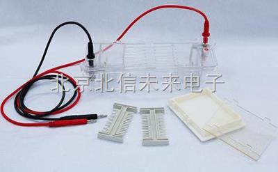 琼脂糖水平电泳仪 核酸电泳槽 耐高温型电泳仪
