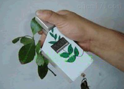 叶绿素测定仪 叶绿素分析仪 叶绿素仪