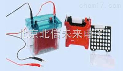 迷你转印电泳仪 转印电泳仪 高效率转印电泳仪