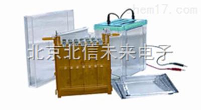 一体式双向电泳仪  高透明度聚碳酸脂注塑成型电泳槽