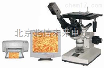 x-γ辐射剂量仪   事故辐射分析仪  脉冲辐射测量仪  γ、β放射源探测仪