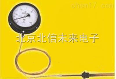 压力式温度计 温度计 压力式温度测试仪