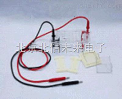 琼脂糖水平电泳槽 水平电泳仪